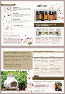 missadesign 您的专业平面设计与创作合作伙伴